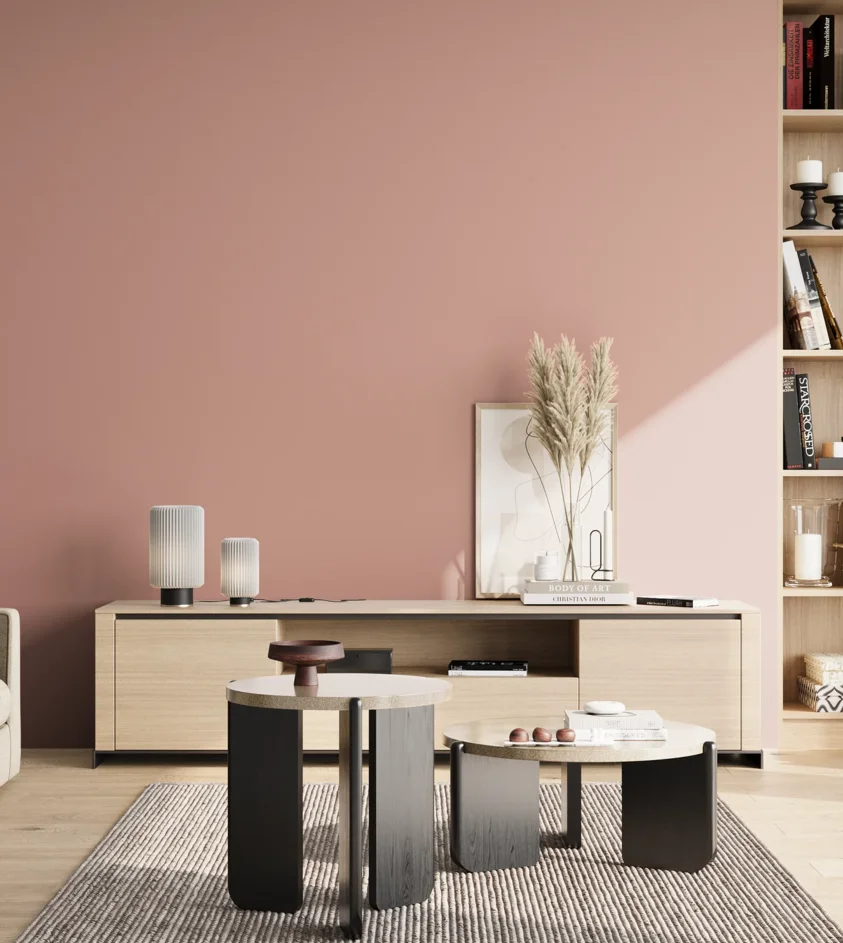 P10_SNIEZKA_salon_02_poludnie_GREY_S2020-Y90R