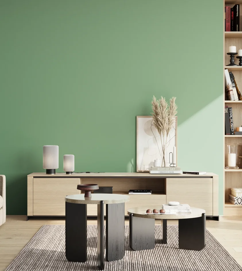 P10_SNIEZKA_salon_02_poludnie_GREY_S2030-G10Y