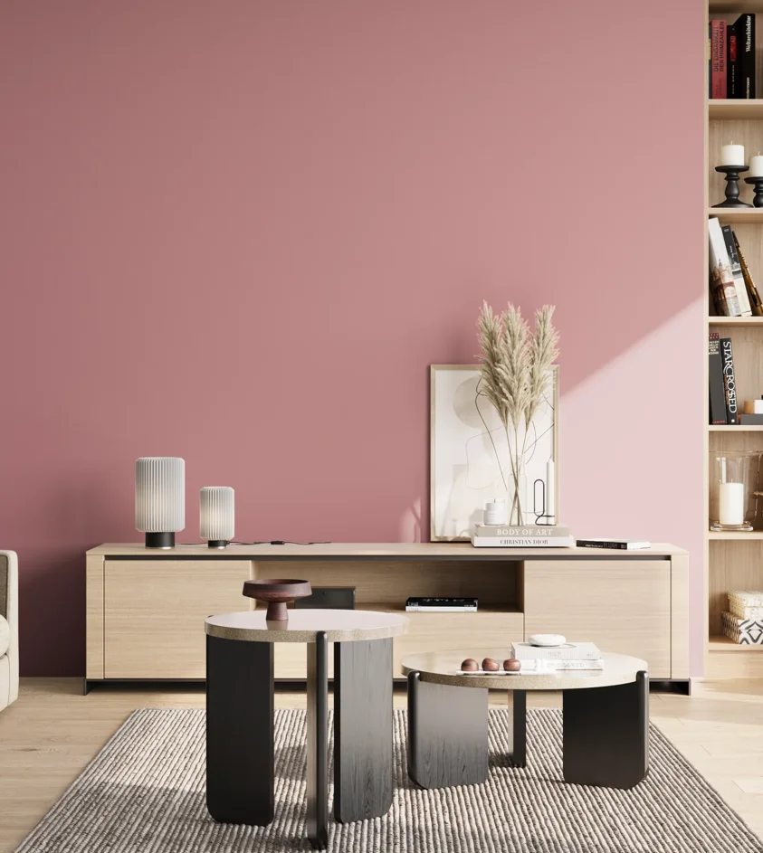 P10_SNIEZKA_salon_02_poludnie_GREY_S2030-R10B