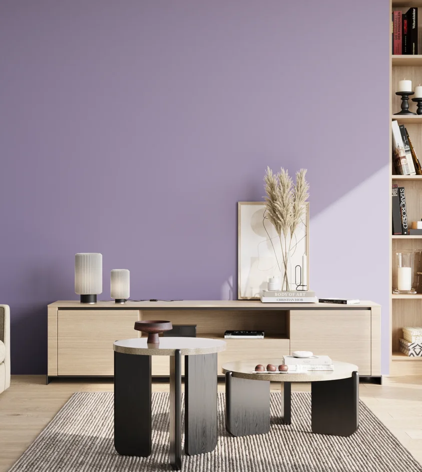 P10_SNIEZKA_salon_02_poludnie_GREY_S2030-R60B
