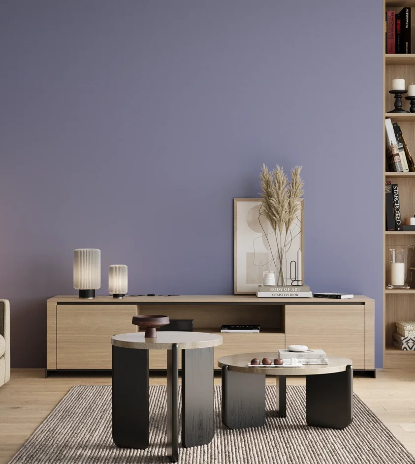 P10_SNIEZKA_salon_00_neutral_GREY_S2030-R70B