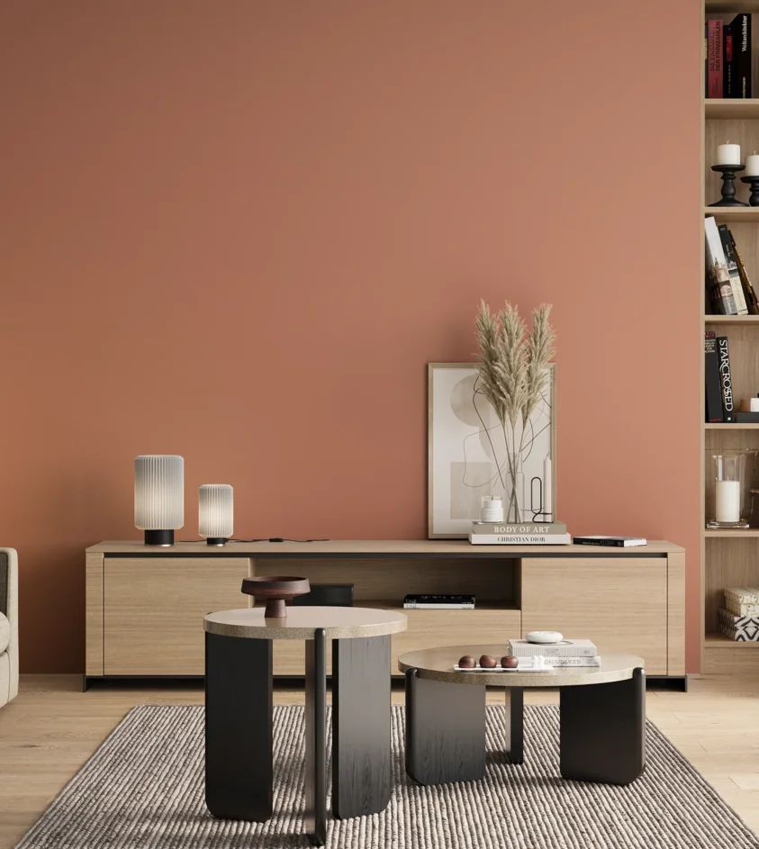 P10_SNIEZKA_salon_00_neutral_GREY_S2030-Y70R