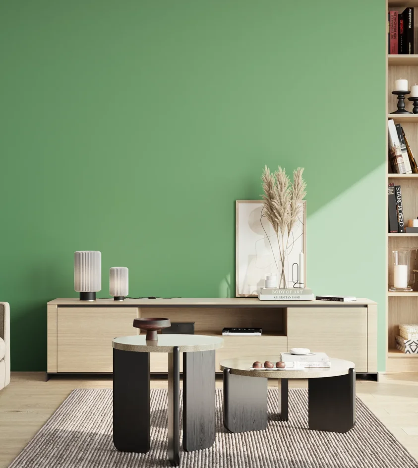 P10_SNIEZKA_salon_02_poludnie_GREY_S2040-G10Y