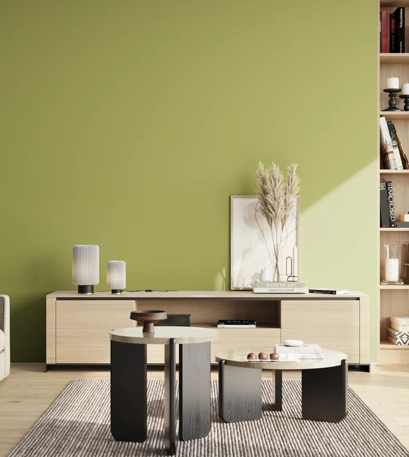 P10_SNIEZKA_salon_02_poludnie_GREY_S2040-G60Y
