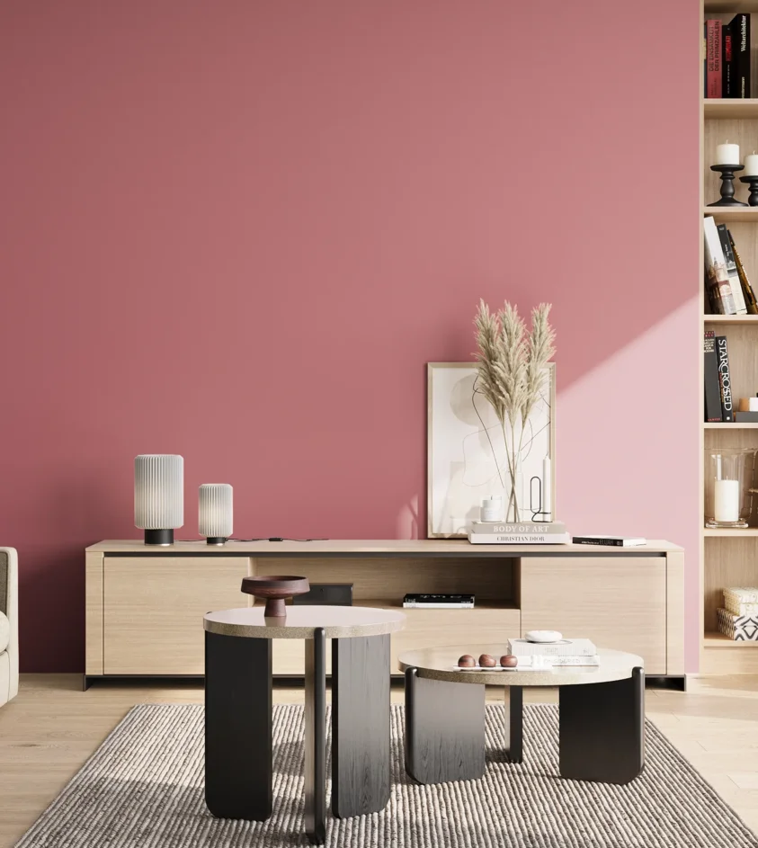 P10_SNIEZKA_salon_02_poludnie_GREY_S2040-R10B