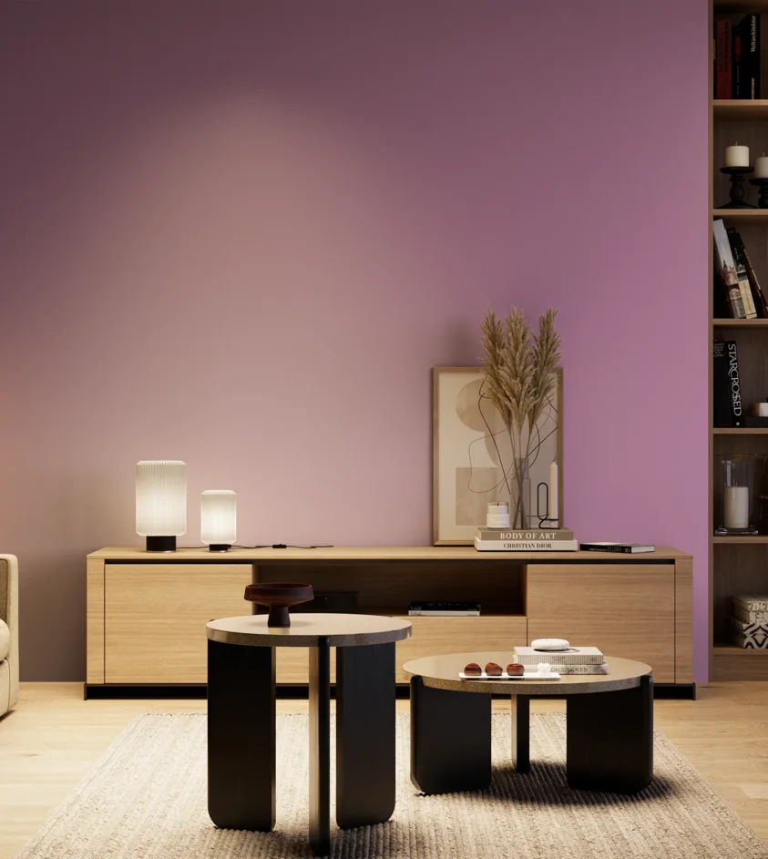 P10_SNIEZKA_salon_04_cieple_GREY_S2040-R40B