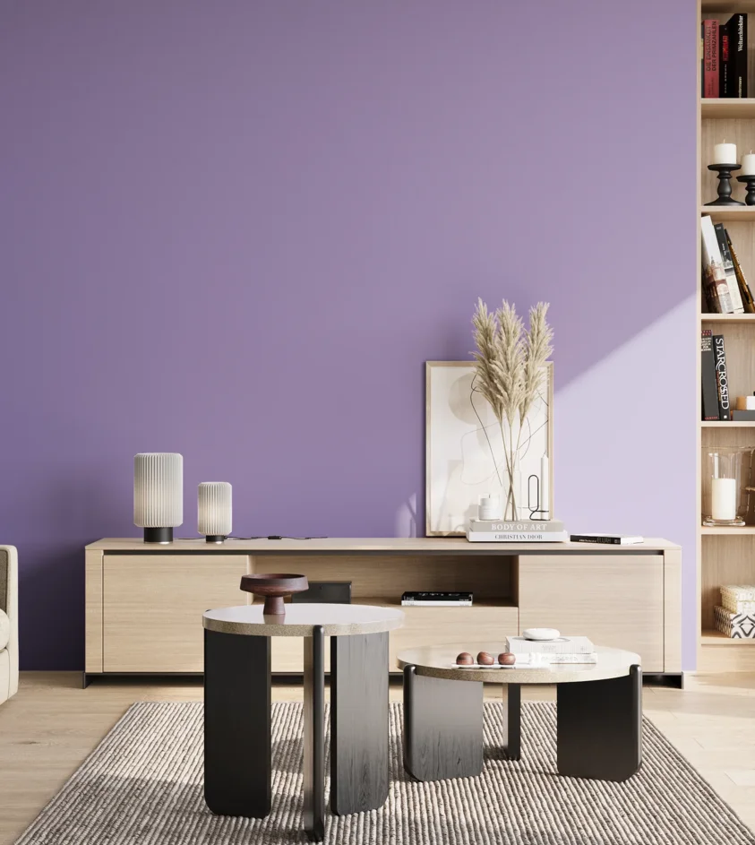 P10_SNIEZKA_salon_02_poludnie_GREY_S2040-R60B