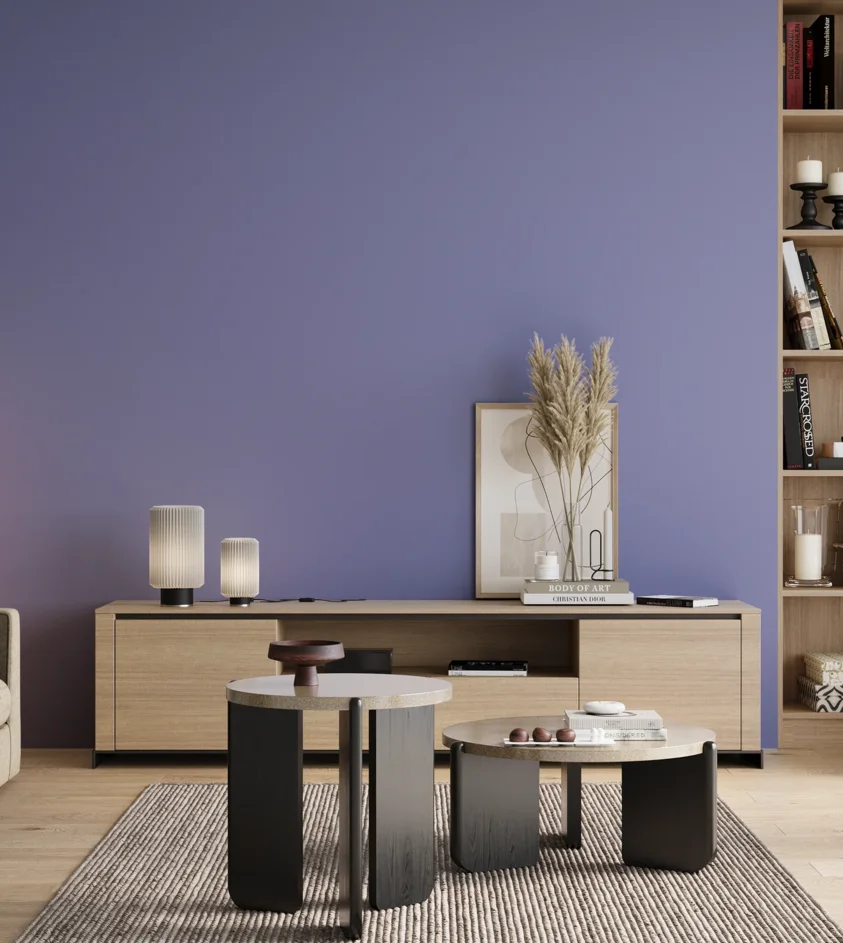 P10_SNIEZKA_salon_00_neutral_GREY_S2040-R70B