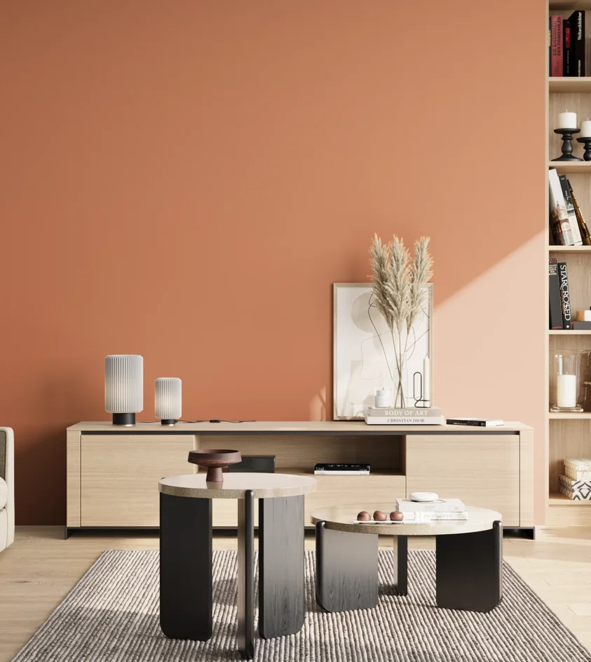 P10_SNIEZKA_salon_02_poludnie_GREY_S2040-Y60R