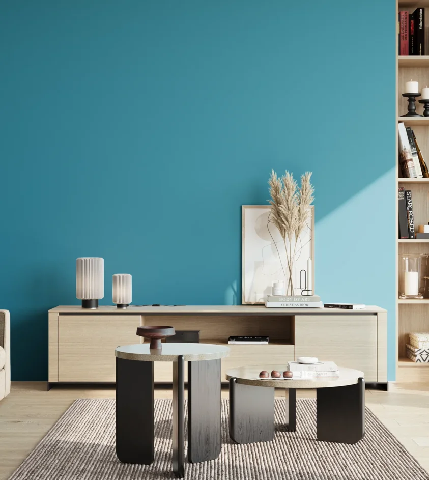 P10_SNIEZKA_salon_02_poludnie_GREY_S2050-B10G