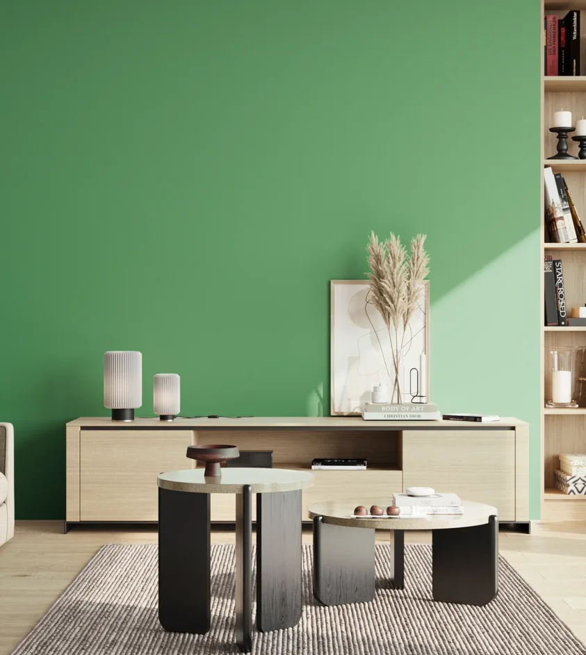P10_SNIEZKA_salon_02_poludnie_GREY_S2050-G10Y