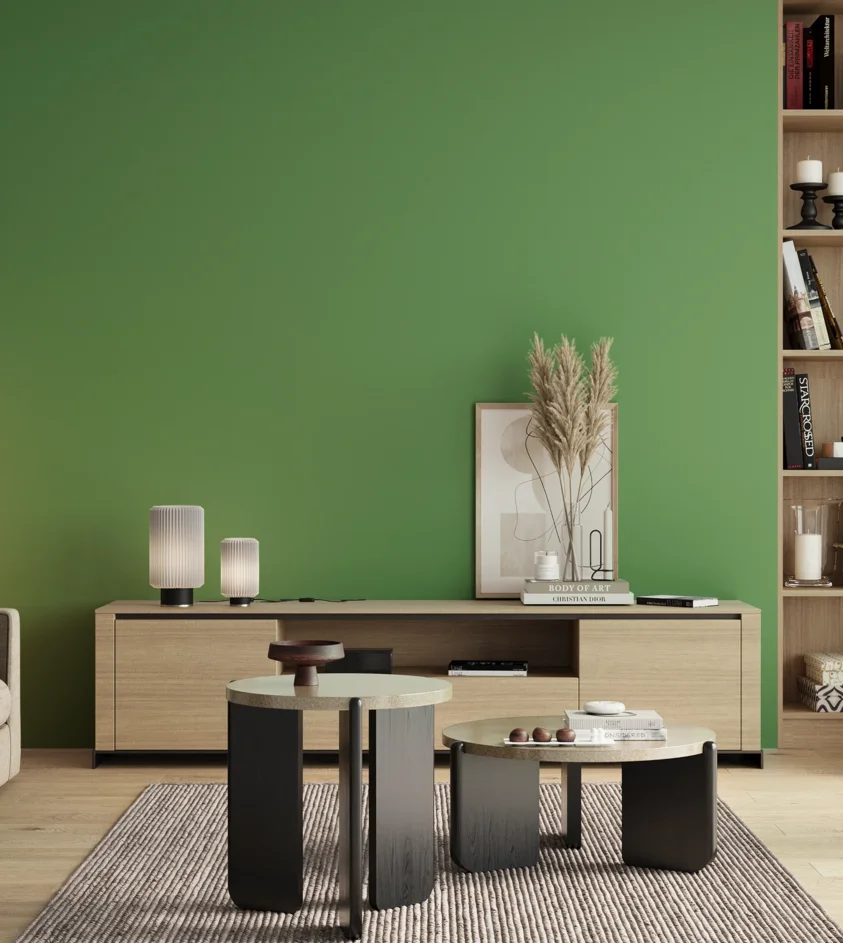 P10_SNIEZKA_salon_00_neutral_GREY_S2050-G20Y