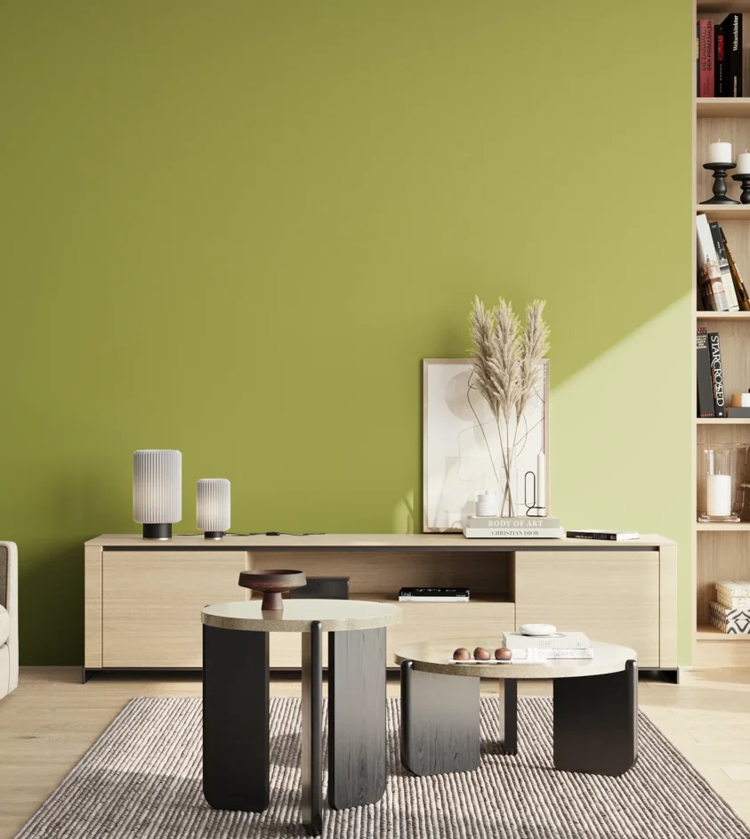 P10_SNIEZKA_salon_02_poludnie_GREY_S2050-G60Y