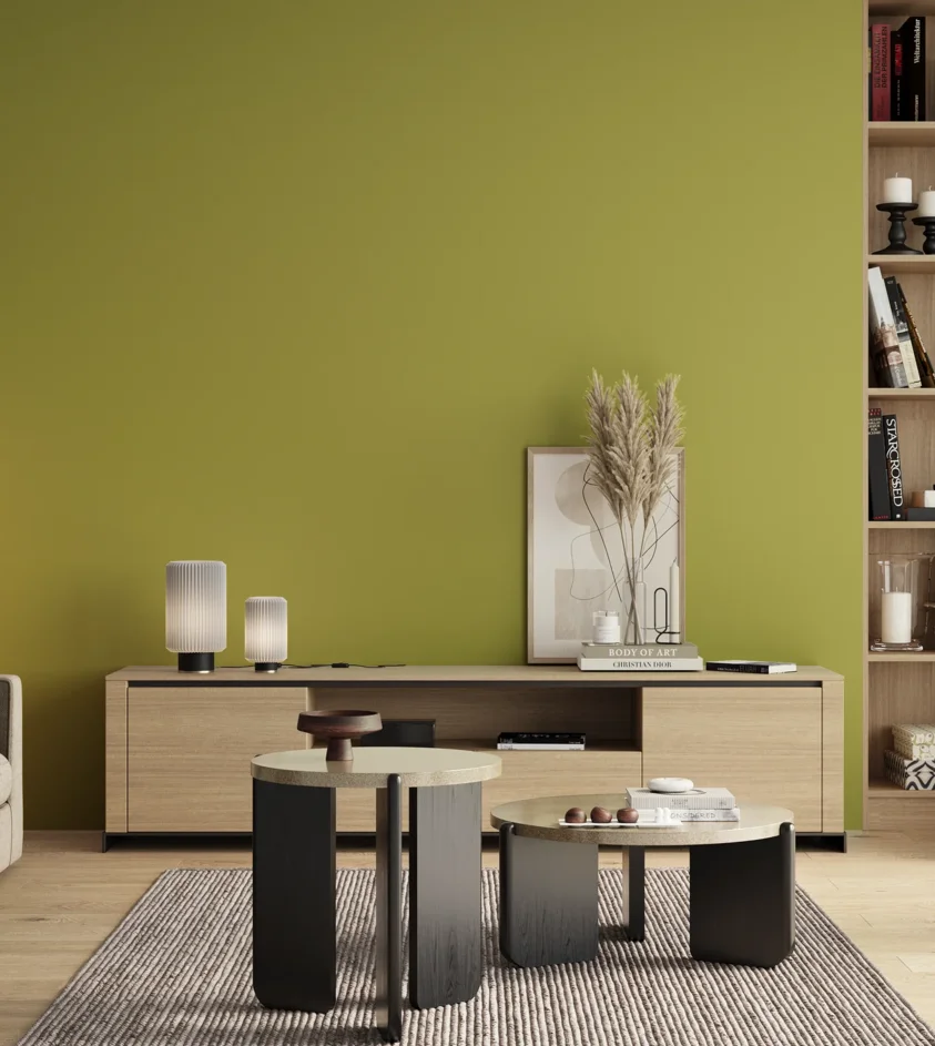 P10_SNIEZKA_salon_00_neutral_GREY_S2050-G70Y