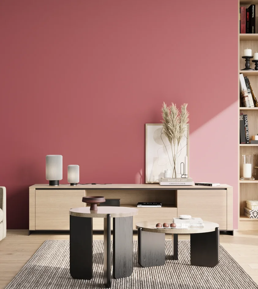 P10_SNIEZKA_salon_02_poludnie_GREY_S2050-R10B