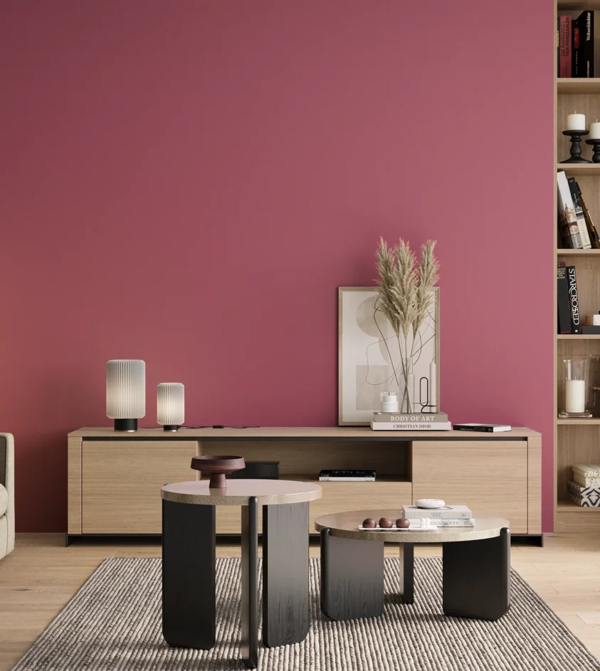 P10_SNIEZKA_salon_00_neutral_GREY_S2050-R20B