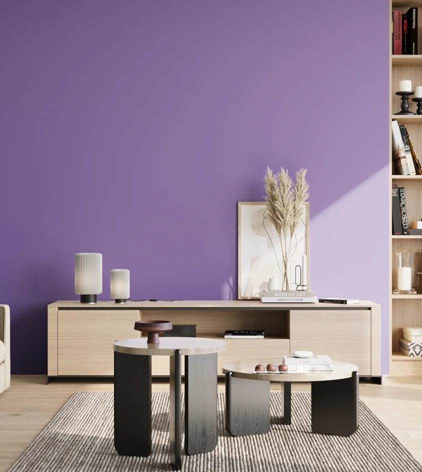 P10_SNIEZKA_salon_02_poludnie_GREY_S2050-R60B