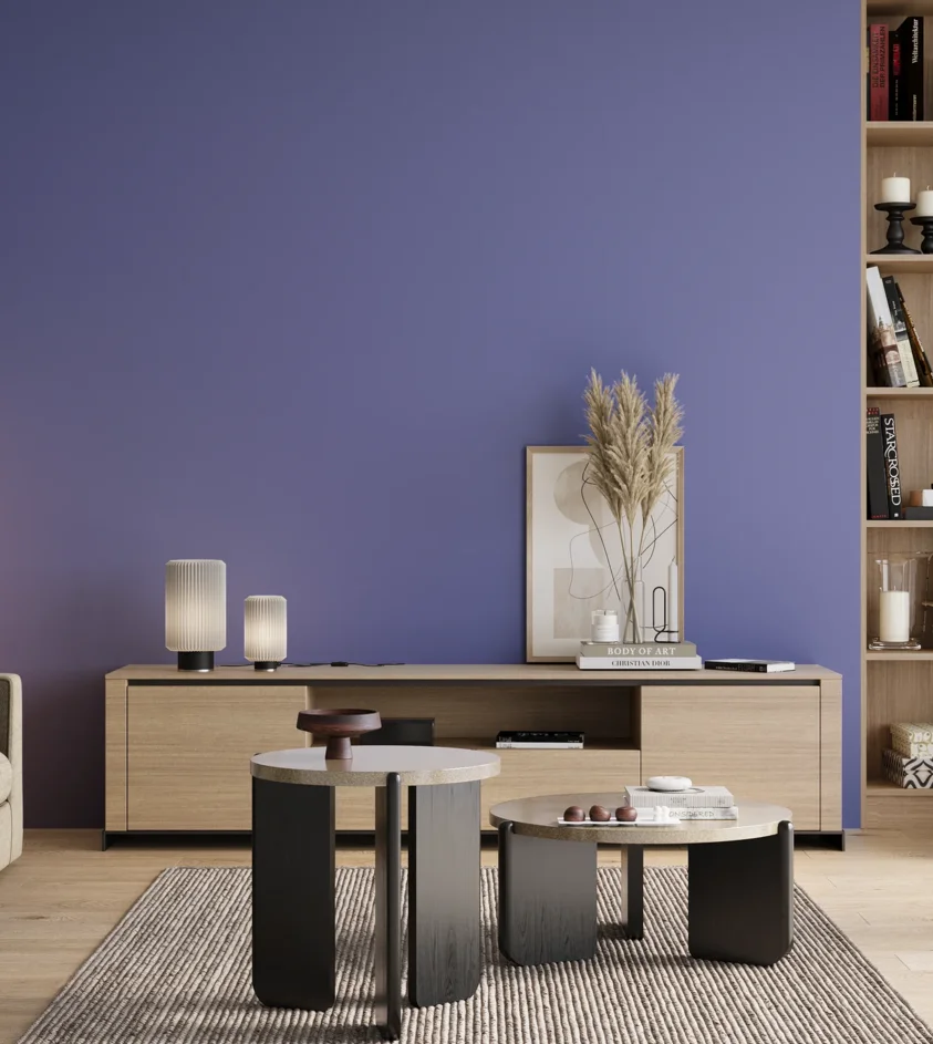 P10_SNIEZKA_salon_00_neutral_GREY_S2050-R70B