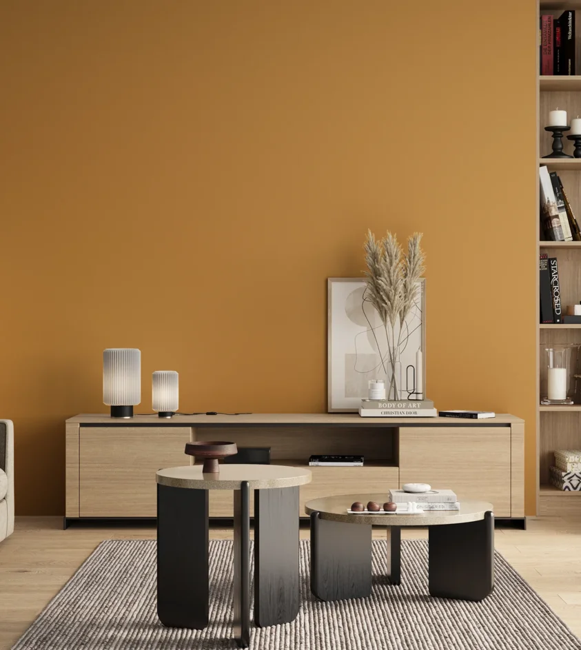 P10_SNIEZKA_salon_00_neutral_GREY_S2050-Y20R