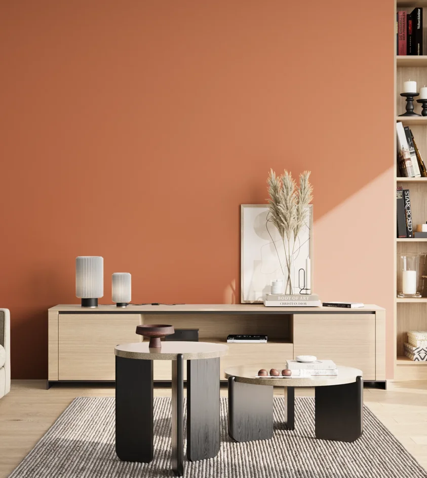 P10_SNIEZKA_salon_02_poludnie_GREY_S2050-Y60R