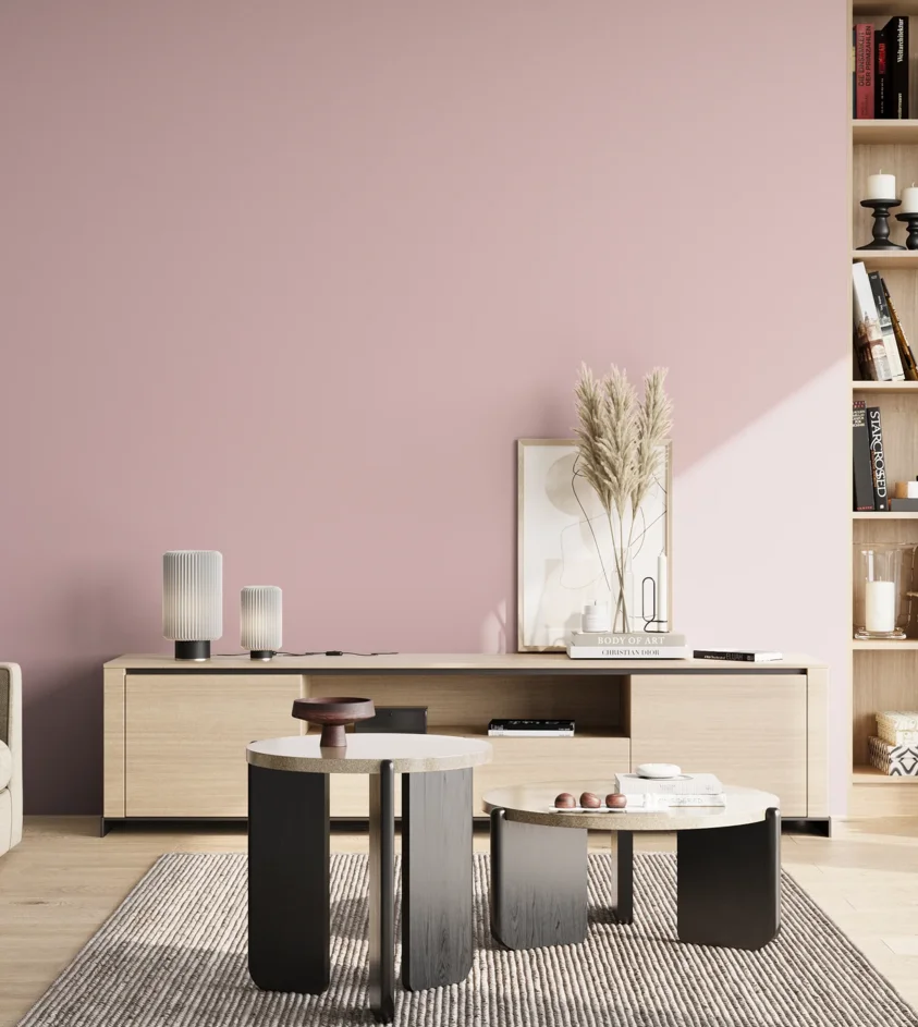 P10_SNIEZKA_salon_02_poludnie_GREY_KL33