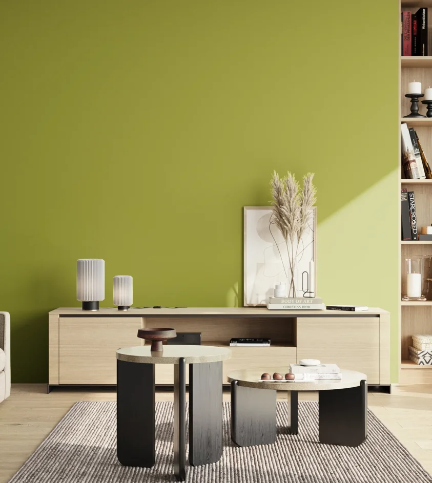 P10_SNIEZKA_salon_02_poludnie_GREY_S2060-G60Y