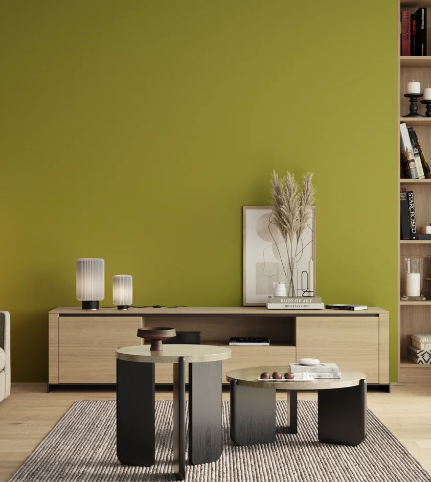 P10_SNIEZKA_salon_00_neutral_GREY_S2060-G70Y