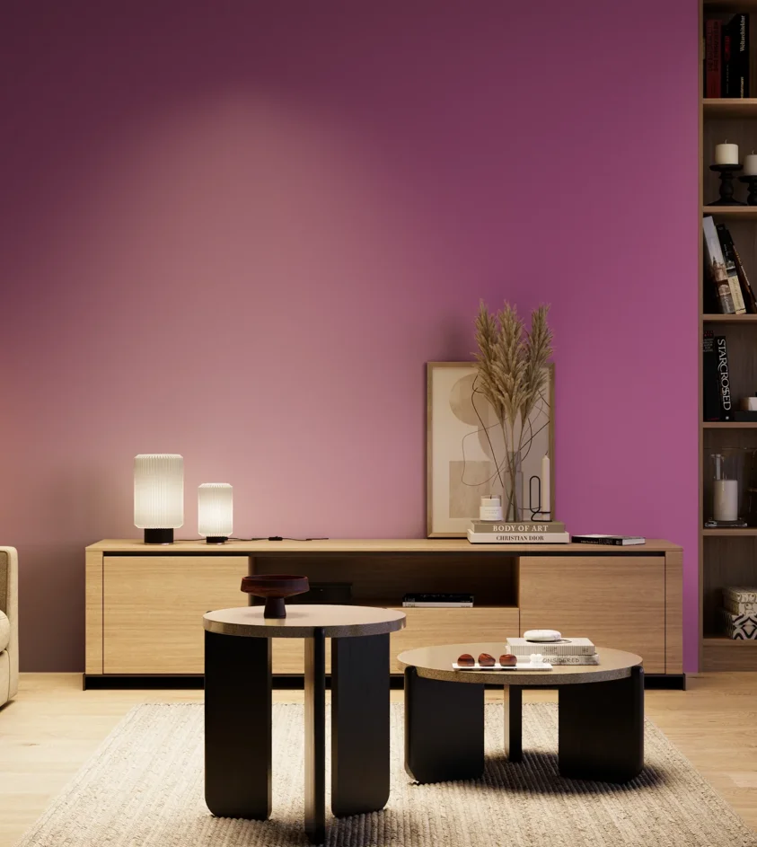P10_SNIEZKA_salon_04_cieple_GREY_S2060-R40B