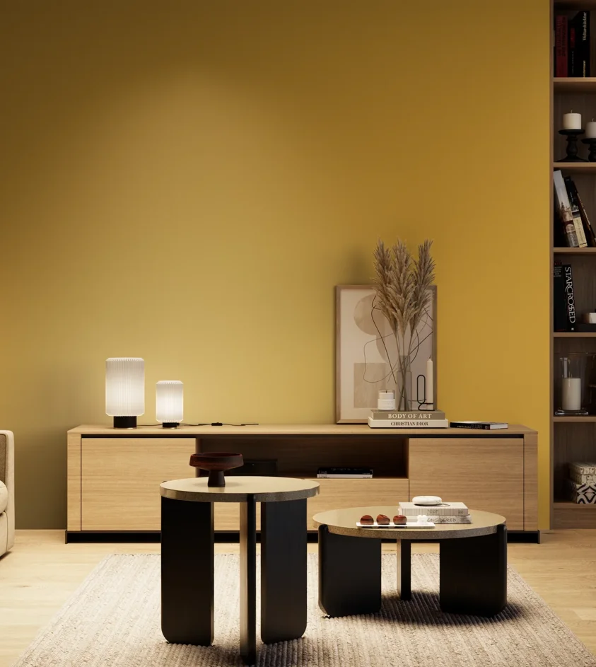 P10_SNIEZKA_salon_04_cieple_GREY_S2060-Y10R