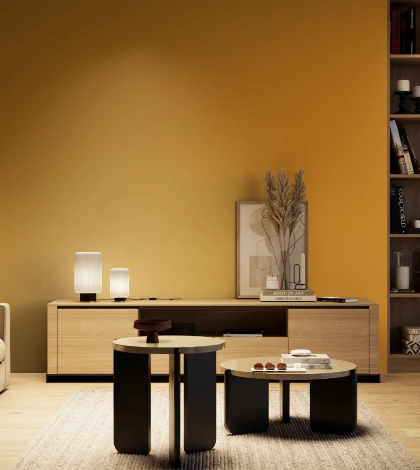 P10_SNIEZKA_salon_04_cieple_GREY_S2070-Y20R