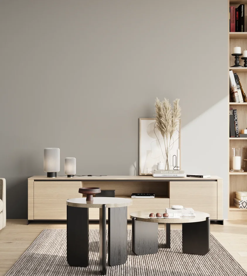 P10_SNIEZKA_salon_02_poludnie_GREY_S2500-N