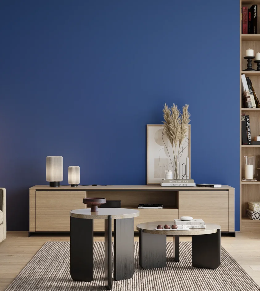S2565-R80B | Magnat Farby