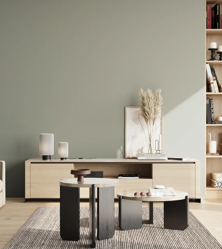 P10_SNIEZKA_salon_02_poludnie_GREY_S3005-G20Y