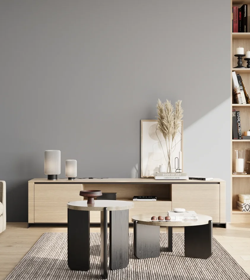 P10_SNIEZKA_salon_02_poludnie_GREY_S3005-R80B