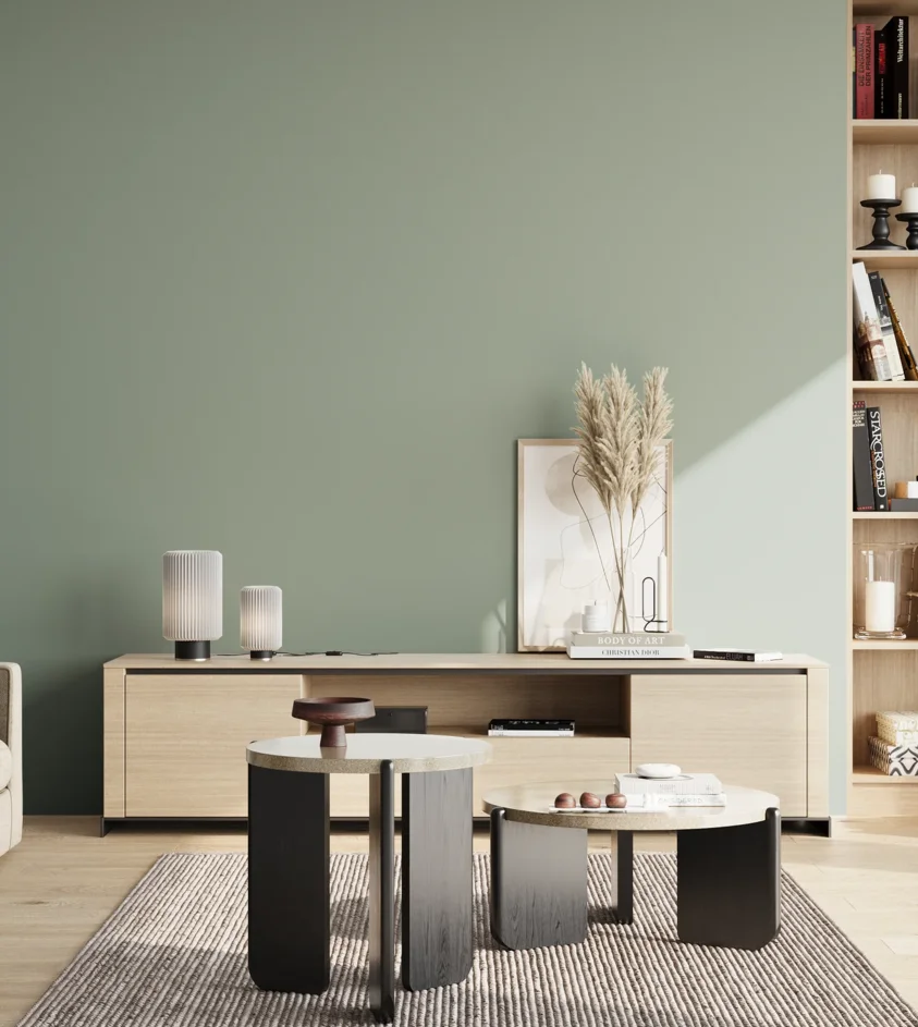 P10_SNIEZKA_salon_02_poludnie_GREY_S3010-G