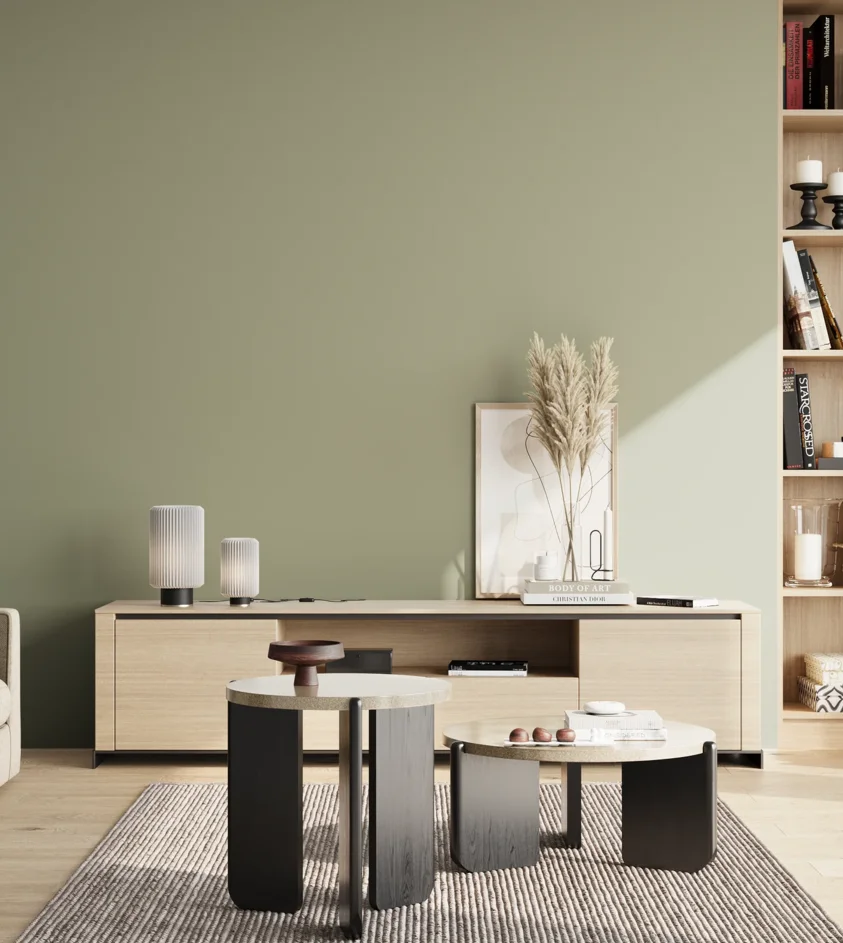 P10_SNIEZKA_salon_02_poludnie_GREY_S3010-G50Y