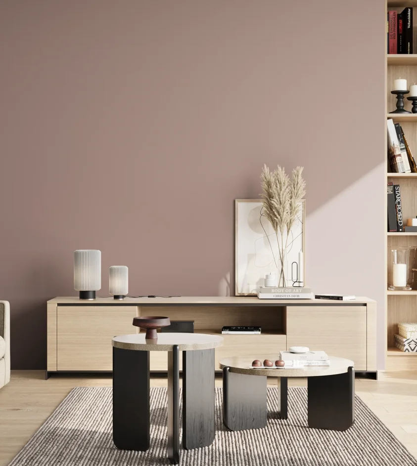 P10_SNIEZKA_salon_02_poludnie_GREY_S3010-R