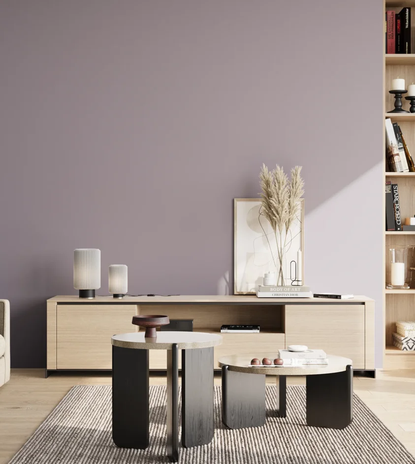 P10_SNIEZKA_salon_02_poludnie_GREY_S3010-R50B