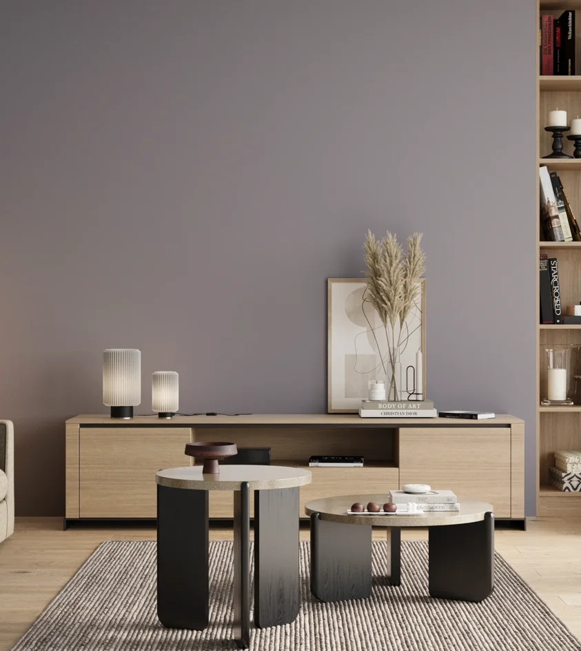 P10_SNIEZKA_salon_00_neutral_GREY_S3010-R60B