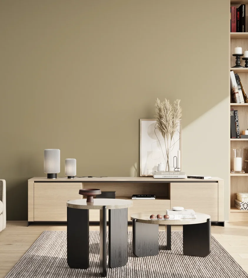 P10_SNIEZKA_salon_02_poludnie_GREY_S3010-Y
