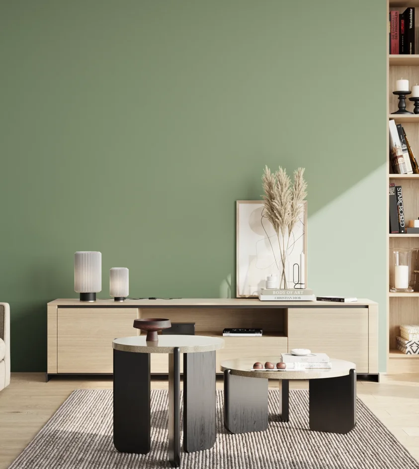 P10_SNIEZKA_salon_02_poludnie_GREY_S3020-G20Y