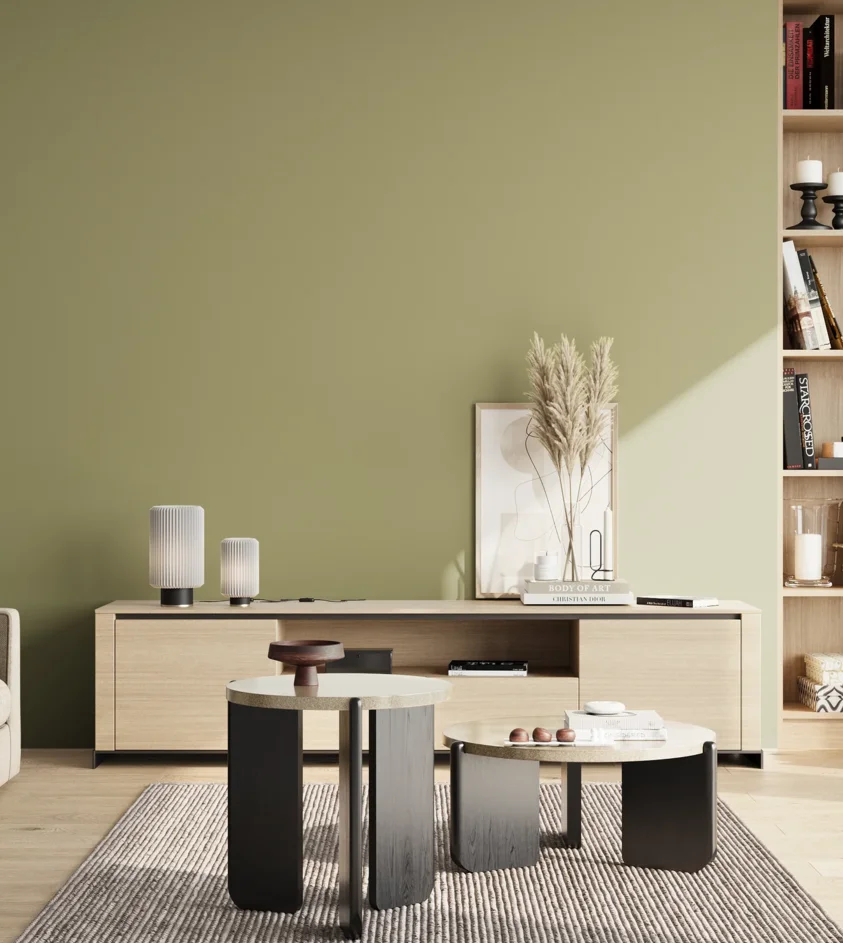 P10_SNIEZKA_salon_02_poludnie_GREY_S3020-G70Y