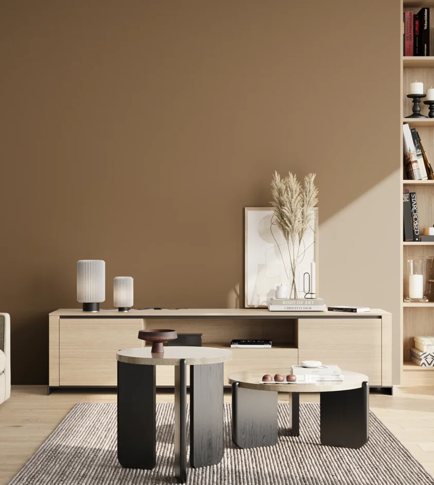 P10_SNIEZKA_salon_02_poludnie_GREY_MP5