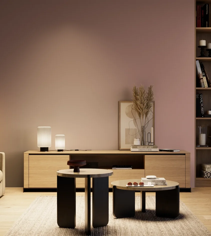 P10_SNIEZKA_salon_04_cieple_GREY_S3020-R