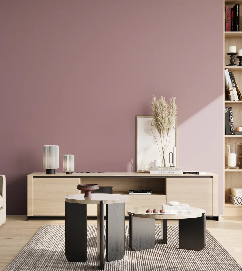 P10_SNIEZKA_salon_02_poludnie_GREY_S3020-R20B