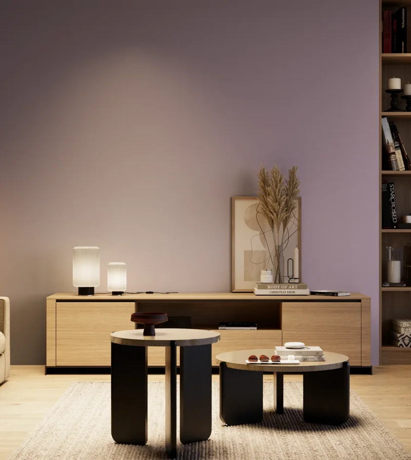 P10_SNIEZKA_salon_04_cieple_GREY_S3020-R50B