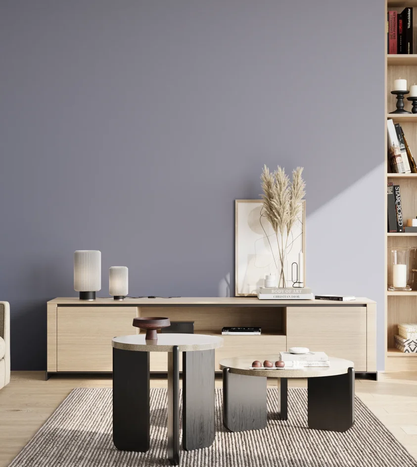 P10_SNIEZKA_salon_02_poludnie_GREY_S3020-R70B