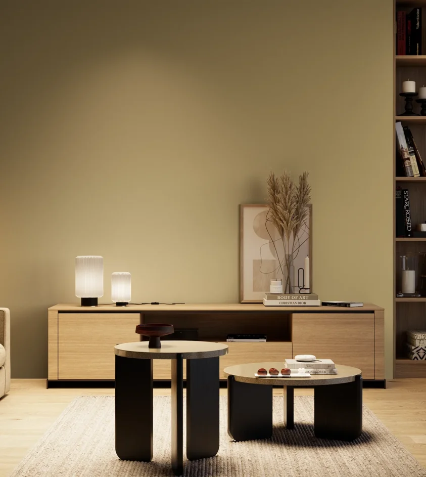 P10_SNIEZKA_salon_04_cieple_GREY_S3020-Y