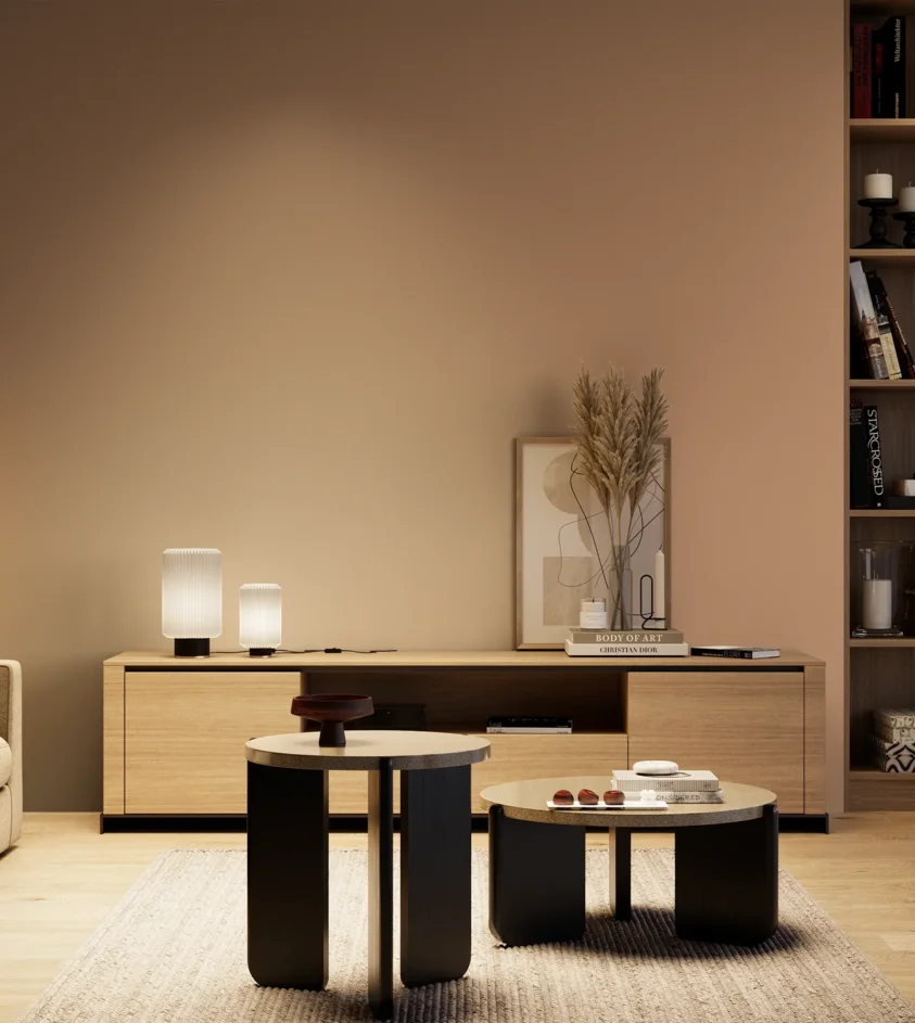 P10_SNIEZKA_salon_04_cieple_GREY_S3020-Y50R