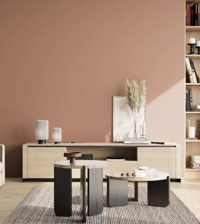 P10_SNIEZKA_salon_02_poludnie_GREY_S3020-Y70R